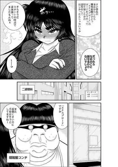 Virgin Keibuho Himeko Soushuuhen