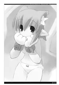 [sys3.6.3. (Zankuro)] ECM