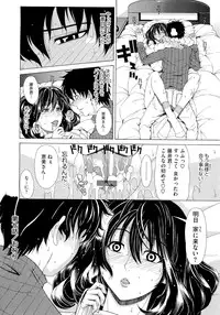 [Tokie Hirohito] Kyuuai Vector