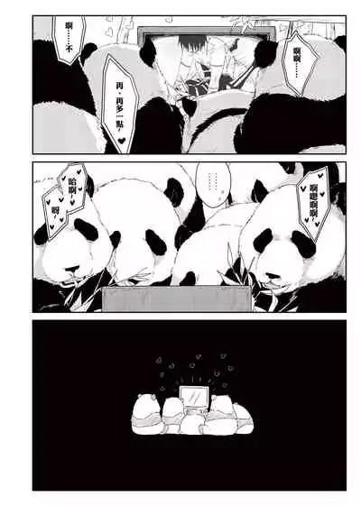 Panda Teaching