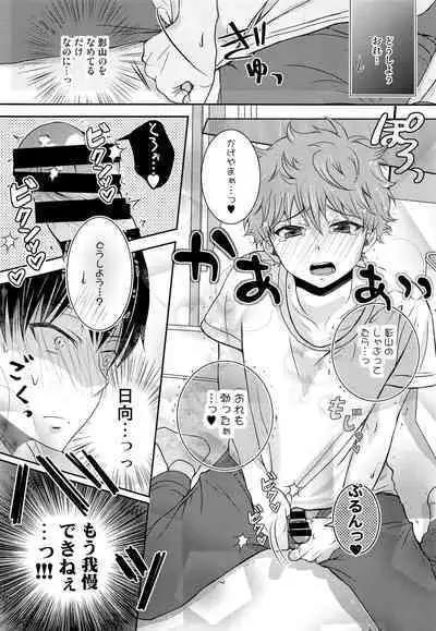 (SUPER COMIC CITY 23) [puniiyu] Hinata to Koi ni Ochiru Made— (Haikyuu!!)