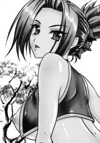 (C93) [Chandora, Lunch Box (Makunouchi Isami)] Harugasumi (Koihime Musou)