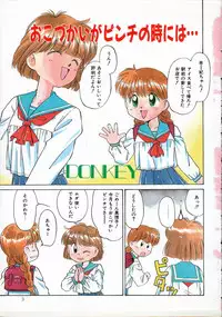 [DONKEY] Pokapoka Fantasy