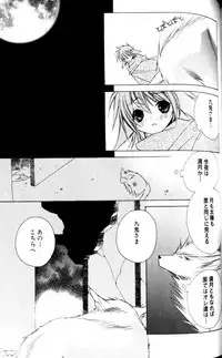 [Sakura Ashika] Bucchoudura ni Koi o Shite