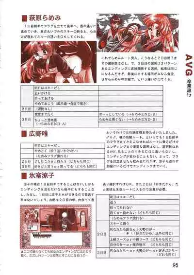 PC Bishoujo Software Strategy Book: Strategy King 2