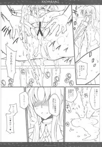 (C79) [VM500 (Kome)] XIOMBARG Preview ver (Mahou Shoujo Lyrical Nanoha)