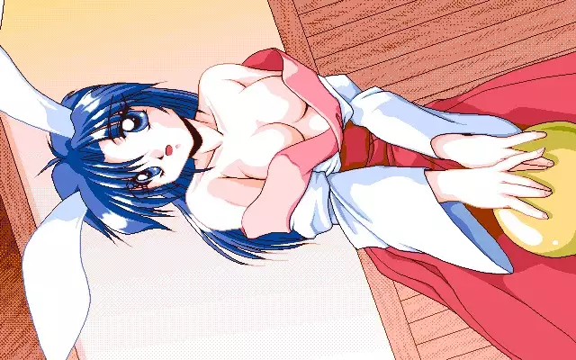 Sailor Bunny Gashuu Sono Ichi