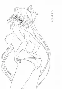 (Tora Matsuri 2015) [STUDIO TRIUMPH (Mutou Keiji)] Astral Bout SP02 (IS <Infinite Stratos>)