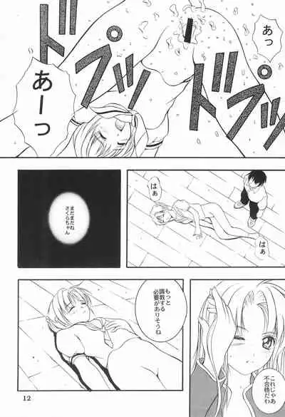 [STUDIO JAM (Izumi Kyouta, Gokou Shinobu)] Cat Captor (Cardcaptor Sakura)