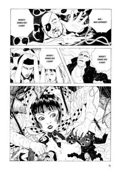 Shōjo Tsubaki | Mr. Arashi's Amazing Freak Show