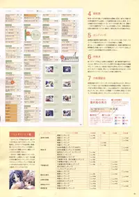 Natural 2 Duo Visual Fan Book