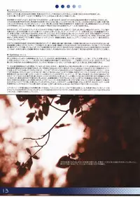 (C73) [Douganebuibui (Aburidashi Zakuro)] LUNA (Various)