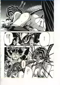 [Appleton] Fairy Paradise