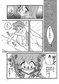 [Ginmomodou (Mita Satomi)] Slayers Adult 8 (Slayers)