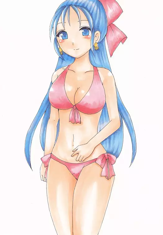 Dragon Quest V - Analog Illusts Vol.1