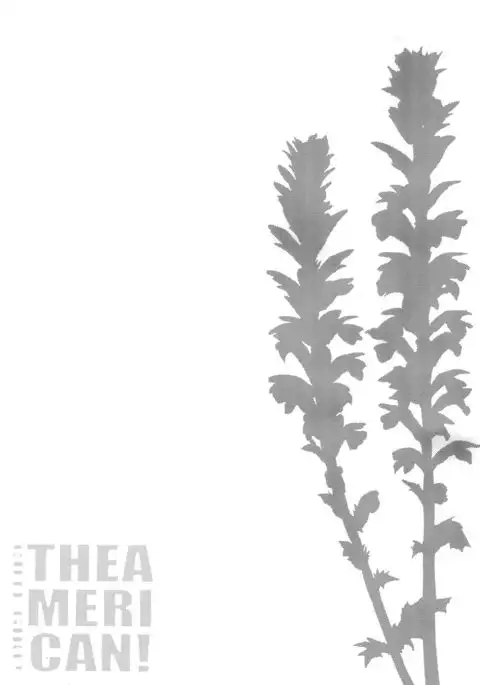 CUTE GIRL! THE AMERICAN!