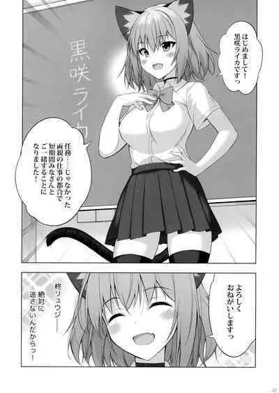 (C100) [Digital Flyer (Oota Yuuichi)] Kukkoro Butai no Assassin-san.