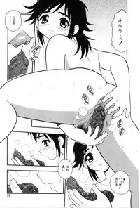 [Shinozaki Rei] hako -the box-