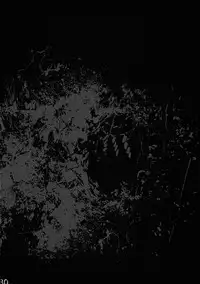 (C78) [Rapid Rabbit] A Disease Woman's Story (Touhou) [ATrans] (ENG)