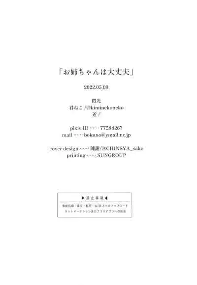 お姉ちゃんは大丈夫