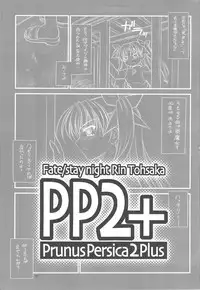 (C75)[Yakan Hikou (Inoue Tommy)] PP2+ (Fate)