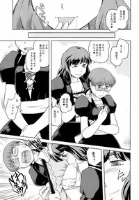 (C78) [Sekitan Bukuro (Fey Tas)] Saint Tiger (Touhou Project)