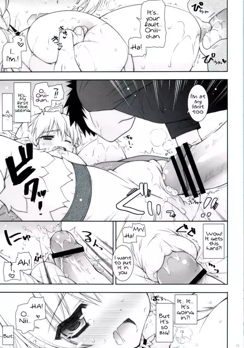Sex And Oppai + Omake Bon