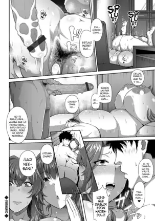 Erotic Mature Women ~Jyuku Mesu~