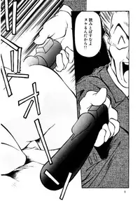 (C48) [Pikopiko Rando (Fuji Katsupiko)] Pikopiko Rando EX