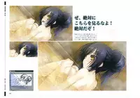 戦国†恋姫 ～乙女絢爛☆戦国絵巻～ ビジュアルファンブック-1