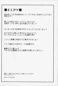 (C81) [Totsugasa, Drill Biyori (Various)] Touhou Junai Goudoushi ～Suzuran～ (Touhou Project)