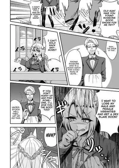 To Aru Reijou No Bunretsu Nichijou