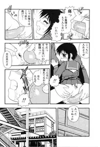 [Shinozaki Rei] hako -the box-