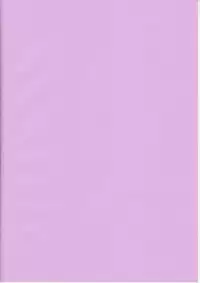 (C79) [Galaxy Monooki (Hanazuka Ryouji)] Bitch Spoiler (Touhou Project)