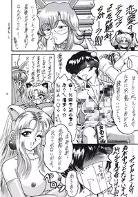 (C55) [L-Gauge Sha (Shōryū)] R2 (Martian Successor Nadesico)