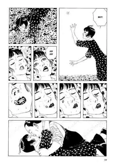 Shōjo Tsubaki | Mr. Arashi's Amazing Freak Show