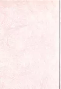 (SC35) [METAL Bunshitsu (Kuroha)] AndroBlade (Witchblade)