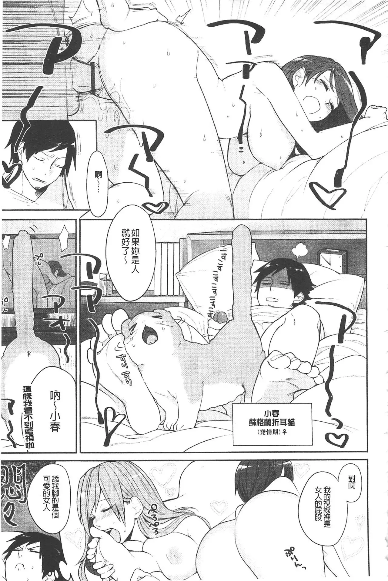 Yosugara Sexology | 徹夜的性愛研究所