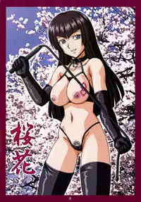 (C71) [AKIKAZE PROJECT (Akikaze Hikari)] Busou Kaijo (Busou Renkin)