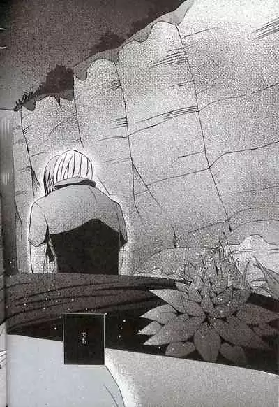 Final Fantasy 13 Fan book