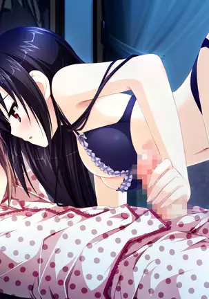 Otome ga Tsumugu Koi no Canvas ~ Futari no Gallery