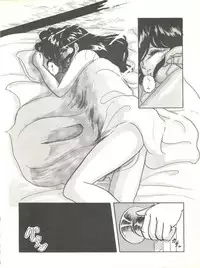 [L-Gauge Sha (Shouryuu)] WA 2 (Ranma 1/2, Bastard) [1993-10-03]