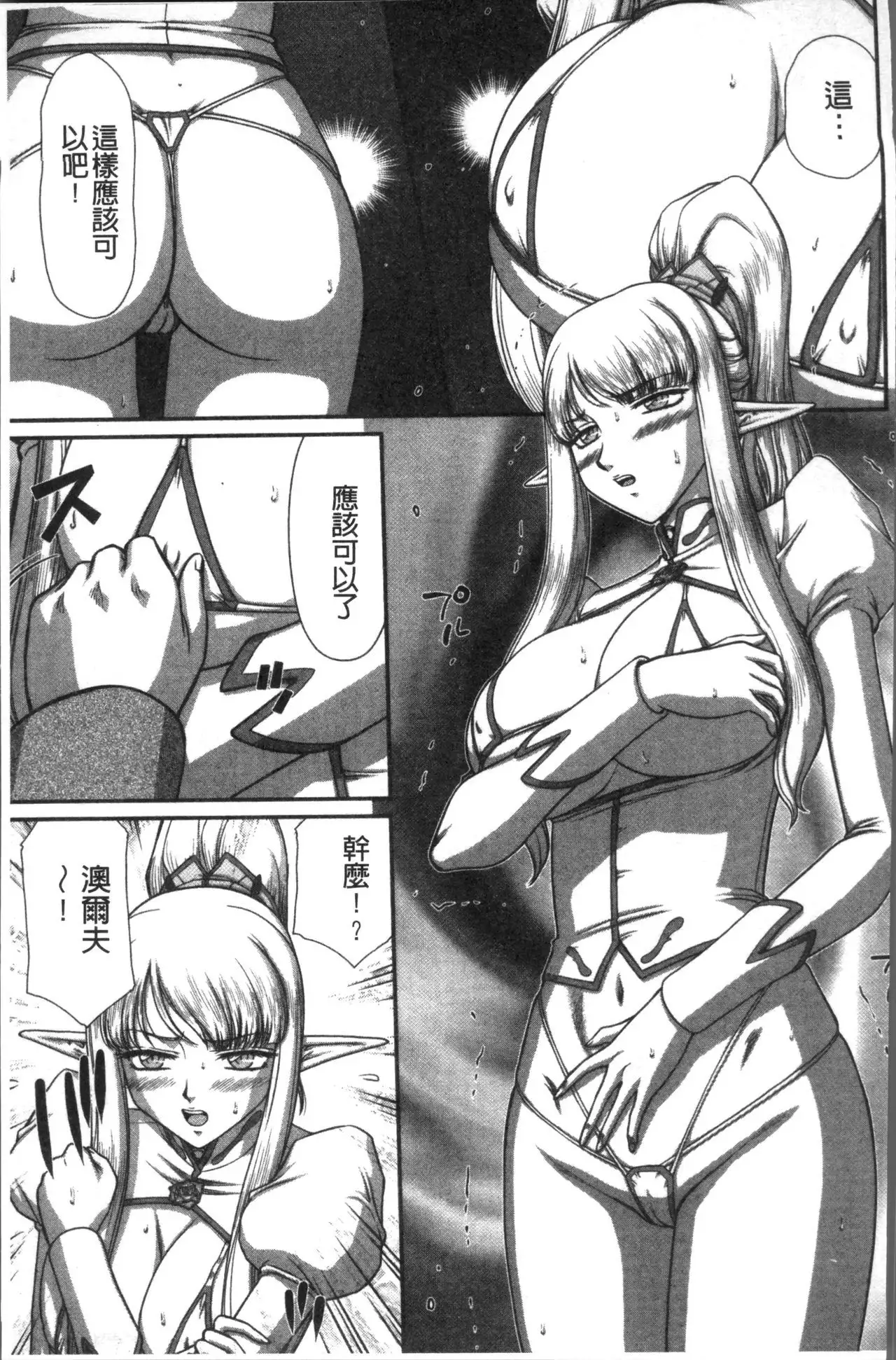 Inraku no Seijo Elvine