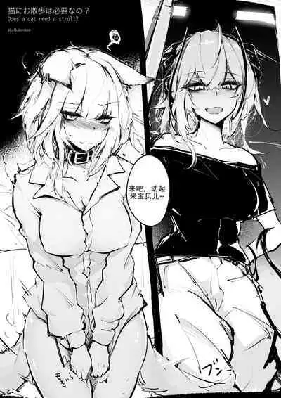 RKZROK·凯尔希的深夜露出散步（明日方舟H·LC整合汉化组）