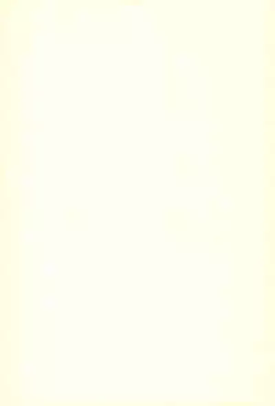 Rakugaki Omochabako no Hon