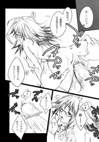 (C72) [Akai Tsubasa (Tachibana Chata)] LOVE FOOL.05 (Fantasy Earth ZERO)