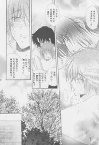 (C68) [Mutsuharu (Kagami Haruki)] Nekomimi Zouryouchuu (Gundam SEED DESTINY) [Incomplete]