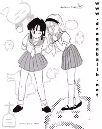 (C52) [Fusuma Goten (Shouji Hariko)] Irohani (Dragonball Z)