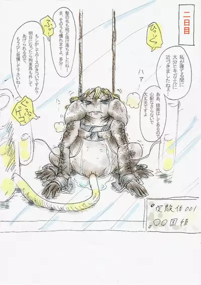 Toad TF Manga