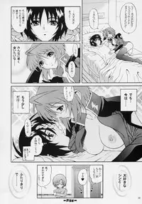 (C70) [GUST (Harukaze Soyogu)] Burning!! 03 (Gundam SEED DESTINY)